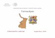 SUBSECRETARÍA DE EMPLEO Y PRODUCTIVIDAD … tamaulipas.pdf · Nacional Tamaulipas Periodo 20,063,433 674,874 Agosto 2018 Tasa de Desocupación (por ciento) 1/ 3.5 3.7 Julio 2018