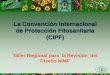 La Convención Internacional de Protección Fitosanitaria (CIPF) · Implementación y Intercambio de Información 6. Asistencia Técnica. La CIPF 173 NACIONES PROTEGIENDO LAS PLANTAS