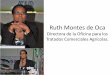 Ruth Montes de Oca - Instituto Interamericano de ...legacy.iica.int/Esp/regiones/caribe/repDominicana/Documents... · Comisión Internacional de Protección Fitosanitaria CIPF-FAO
