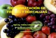 DESHIDRATACIÓN DE FRUTAS Y HORTALIZAS · Importancia de las frutas y hortalizas ... tomate, los productos cárnicos y de pescado ligeramente salados, las carnes curadas enlatadas,