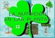 LA NUTRICIÓN DE LAS PLANTASiespoetaclaudio.centros.educa.jcyl.es/sitio/upload/nutricion... · LA RESPIRACIÓN CELULAR SE REALIZA EN LAS MITOCONDRIAS . ... Como la E liberada durante