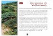 5 Barranco de Valholgado - nororma.com · Sin embargo, hasta este pequeño municipio de la Sierra Norte llega la espesura de un bosque mediterráneo bien , conservado, que abarca