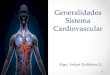 Generalidades Sistema Cardiovascular · Sistema cardiovascular • En el sistema cardiovascular se diferencian 3 tipos de vasos sanguíneos. • Arterias. • Venas. • Capilares