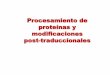 Procesamiento de proteínas y modificaciones post ... · Las proteínas después de sintetizadas en los ribosomas, ... estabilidad estructural) ... Diapositiva 1 Author: Patricia