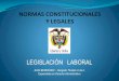 NORMAS CONSTITUCIONALES Y LEGALES - … laboral.pdf · Cumplimiento de horario y de ... Paternidad: La Ley 755 de 2002. Para esposos y ... Licencia por Luto (Ley 1280 de enero 2009):