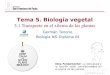 Tema 5. Biología vegetal - dpbiologia.weebly.comdpbiologia.weebly.com/uploads/2/1/5/5/21553524/gtp_t5.biología... · Los tejidos adultos se forman por división y diferenciación