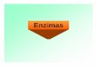 Enzimas - Inicio · • Proteínas de forma globular •Aceleran reacciones específicas químicas (10 3-10 20) •Catalizadores biológicos. Pepsina Enzimas