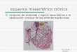 isquemia mesentérica crónica · H U 12 de Octubre isquemia mesentérica crónica conjunto de síntomas y signos secundarios a la obstrucción crónica de las arterias esplácnicas