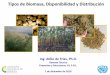 Tiposde Biomasa, Disponibilidad y ... - bioelectricidad…bioelectricidad.org/uploads/library/15.pdf · 2. Tipos de biomasa enel contexto RD 3. Potencial enrelación a la composición