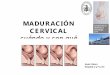MADURACIÓN - obslafe.es€¦ · • Placenta previa oclusiva • Prolapso – procúbito de cordón • Vasa previa ... • Hemorragia por Desprendimiento de placenta 