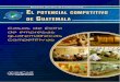 Guatemala, enero de 2006 - pronacom.gt · Discriminar entre las diferentes perspectivas basadas en casos exitosos sobre cómo las empresas guatemaltecas son competitivas en los mercados