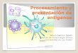 Procesamiento y presentación de antígenos - MEDICINA · Mecanismo de procesamiento y presentación antigénica vía MHC-I ... Estructura de las Moléculas de Histocompatibilidad