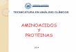 AMINOACIDOS Y PROTEINAS€¦ · CLASIFICACIÓN DE LAS PROTEINAS ... Por su función Biológica ENZIMAS PROTEÍNAS DE TRANSPORTE ... Ej: mioglobina 