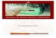 Manuales de buenas prácticas ambientales - dipsanet.es · • Realizar el montaje en taller de elementos de carpintería. • Instalar en obra elementos de carpintería. RECURSOS