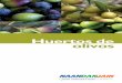 Huertos de olivos - NaanDan Jain Irrigation Ltd - Homees.naandanjain.com/uploads/catalogerfiles/000-Spanish/Crop... · NAANDANJAIN Ltd. 03/2014 CONDICIONES PARA EL CRECIMIENTO CLIMA