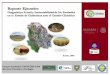 CONTENIDO - fz.uach.mxa... · Identificación de temas prioritarios y acciones recomendadas para el uso sustentable y conservación de los pastizales en el estado de Chihuahua. 