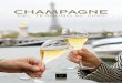 CHAMPAGNE · Delimitada por una ley de 1927, la zona de producción de la denominación de origen controlada (AOC) Champagne se extiende a lo largo de 34 000