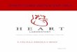 VÁLVULA AÓRTICA Y SENOS HEART …heartlaboratory.com/sites/default/files/descargas/5-_valvula... · La anterior se relaciona con la crista supraventricular de His o espolón de