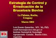 Estrategia de Control y Erradicación de la Brucelosis … · No inducir la producción de anticuerpos que . ... SUCIA A LIMPIA ... • Segregación de animales INTA CCVyA - Brucelosis