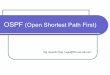 OSPF (Open Shortest Path First) - frlp.utn.edu.ar · Áreas OSPF no tiene límites de cantidad de routers, redes ni diámetro de la red. Cuando el sistema autónomo crece cada uno