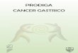 CANCER GASTRICO - Sovegastro · CANCER GASTRICO MAPA DE DISTRIBUCION Y SEROPREVALENCIA DE H. PYLORI EN VENEZUELA Deﬁ nición: Se deﬁ ne como cualquier tumor maligno originado