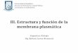 III. Estructura y función de la membrana plasmática · Las moléculas que se movilizan por difusión simple a través de la membrana son las no polares y pequeñas, las liposolubles