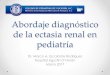 Abordaje diagnóstico de la ectasia renal enpediatrasyucatan.org.mx/wp-content/uploads/2017/03/Manejo-de-la... · Ectasia renal uni o bilateral Displasia renal multiquística Dupliación