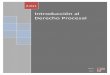 Introducción al Derecho Procesal - uned-derecho…uned-derecho.com.es/.../uploads/2016/11/Apuntes-Intro-Procesal.pdf · Derecho Procesal . 2.011. ... lícitas de la autodefensa en