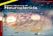 Revista Mexicana de Neurocienciarevmexneuroci.com/wp-content/uploads/2017/03/RevMexNeu-2017-182... · a un tipo IV, el cual puede estar asociado a ... Los que asocian la hidrocefalea