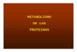 METABOLISMO DE LAS PROTEINAS · metabolismo proteico. •Todos los aminoácidos (excepto serina y treonina) ... Microsoft PowerPoint - clase14-metabolismo-de-proteinas Author: Lau&Die