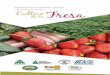 Manual de Buenas Prácticas Agrícolas y de … de Fresas.pdf · y físicos en las diferentes etapas de la producción de fresa (Fragaria sp.) para asegurar la inocuidad del producto;