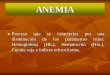 ANEMIA - sdb8790fb3b904fba.jimcontent.com · Anemias 1.- Por déficit ... , infecciosas, entre otras. 2.- Aumento de Destrucción: Disminución de la sobrevida de los eritrocitos: