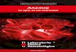 Educación en Promoción y Prevención en Salud …lch.co/wp-content/uploads/2016/10/PP-anemia-2016-web.pdf · anemias por destrucción de los eritrocitos, denominadas anemias hemolíticas,