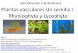 Introducción a la Botánica Plantas vasculares sin … · Plantas vasculares sin semilla I: Rhyniophyta y Lycophyta ... • Obtención de agua y fijación al sustrato • Cómo hacer