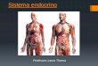 Sistema endocrino - … · Sistema endocrino Responde ante los cambios del medio interno mediante la secreción de hormonas en la sangre para: Mantener la homeostasis (constancia