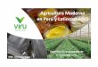 Agricultura Moderna en y Latinoamérica - oitcinterfor.org · Una agricultura moderna tiene en cuenta: • Buenas prácticas agrícolas • Procesos de certificación reconocidos
