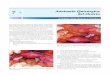 7 Anatomía Quirúrgica del Ovariomedia.axon.es/pdf/78866_1.pdf · a las arterias ilíaca común e ilíaca interna posterior al colon sigmoides sobre el lado izquierdo y posterior