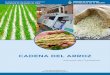 N°1 – Junio 2016 Técnico Responsable · La producción de arroz paddy (con cáscara), además de ser una economía típicamente regional del litoral argentino, en algunas provincias