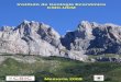 Instituto de Geología Económica CSIC-UCM 2009_web.pdf · sedimentaria (Cretácico, Paleoceno y Mioceno terminal) y su relación con la tectónica en el Prebético oriental. Implicación