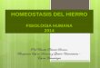 HOMEOSTASIS DEL HIERRO - …ecaths1.s3.amazonaws.com/fisiologiafacena/330746378.01.04.15... · maíz, avena, arroz, manzana, lentejas, espinaca, ... Cubana de Hematología, Inmunología