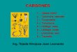 CARBONES Y ANTRACNOSIS - …s2d280551d41b6de2.jimcontent.com/download/version/1401845271/... · • Ustilago hordei: Carbón cubierto de la avena. ... reemplaza las partes florales