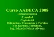Curso AADECA 2008 · Elementos piezo-electricos de presion diferencial convierten en senal electrica la oscilacion de DP que existe entre uno y otro lado del shedder. ... (solamente