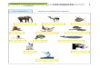 Unidad 2 CIENCIAS NATURALES LOS ANIMALES 1€¦ · La ciencia que estudia los animales se llama zoología. Los zoólogos son los que se dedican al estudio de los ... Entre los insectos