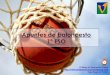 Apuntes de baloncesto 1º ESO - Colegio “El Valle ... · El Blog de Educación Física  Olga Segovia Pulido Apuntes de baloncesto 1º ESO