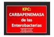 KPC: CARBAPENEMASA de las EnterobacteriasNDEZ.pdf · Para Salmonella spp el punto de corte de sospecha de ... NEGATIVA M. morganii, Providencia spp, S. marcescens-Sinergia IMI -EDTA/SMA