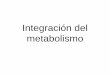 Integración del metabolismo - [DePa] Departamento de ...depa.fquim.unam.mx/amyd/archivero/12.0INTEGRACION... · Regeneración del NAD+. Propósitos y ecuación de la vía. Fosfofructocinasa-1,