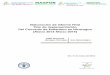 Elaboración de Informe Final Plan de Implementación … Taller: Elaboración Informe Final Plan Implementación del Convenio de Rotterdam en Nicaragua (Marzo 2013 a Marzo 2014)