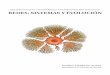 Redes, Sistemas y Evolución - somosbacteriasyvirus.com · sencillos, como son el dogma de ... responsable de la organización heredable de los tipos biológicos, el marco neodarwinista