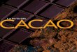 LA RUTA DEL CACAO - pacarichocolate.com · Archidona en la provincia de Napo, a dos horas de Qui- ... potenciado los viveros clonales del cacao, los centros ... entre ellos 95 medallas