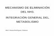 MECANISMO DE ELIMINACIÓN DEL NH3. …uvsfajardo.sld.cu/sites/uvsfajardo.sld.cu/files/co9_excrecion_de... · central en el metabolismo de los compuestos nitrogenados y se vinculan